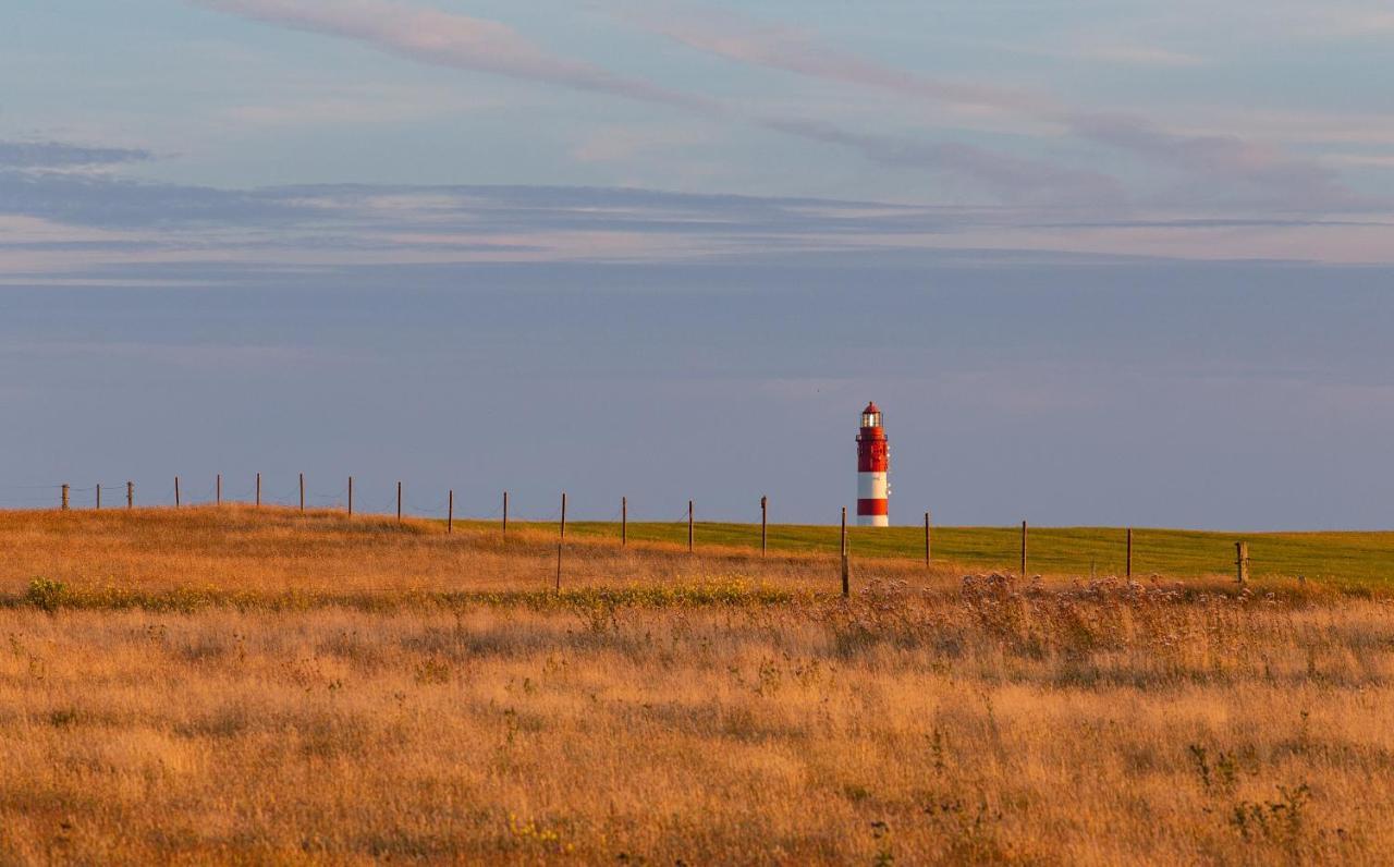 Kleine Perle Auf Amrum Norddorf Dış mekan fotoğraf